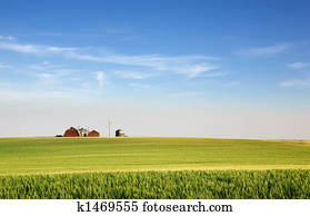 Prairie Farmland Prairie Farmland