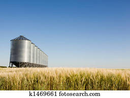 Prairie Harvest Prairie Harvest