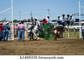 Rodeo Rodeo