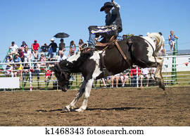 Saddle Bronc Saddle Bronc