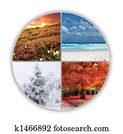 Seasons Seasons