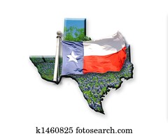 Texas Flag Texas Flag