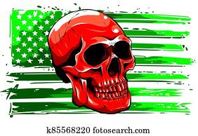 vector illustration America Flag painted on a skull