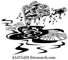 Bass catching a frog Bass catching a frog