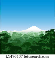Forest Landscape Forest Landscape
