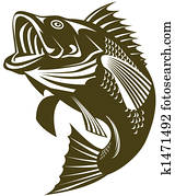 Largemouth Bass