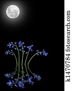 luar, e, bluebell, flores