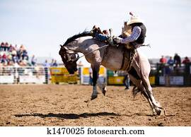 Rodeo Cowboy Rodeo Cowboy