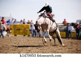Saddle Bronc Saddle Bronc
