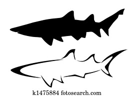 Sharks Sharks