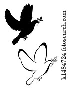 Dove Dove