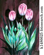 Tulips Tulips