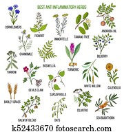 הכי טוב, anti-inflammatory, דשא