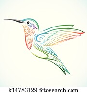 coloridos, hummingbird