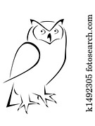Owl Owl