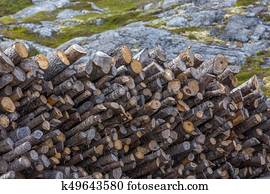 stack of spruce logs, Fogo Island