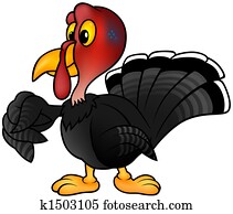 Black Turkey Black Turkey