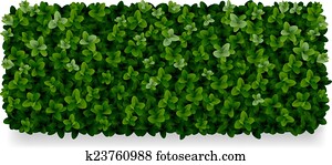 boxwood decorative fence boxwood decorative fence