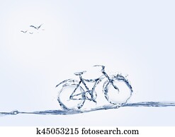 Water Bicycle and Birds Water Bicycle and Birds