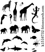 Animal Silhouette Animal Silhouette