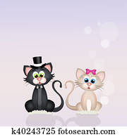 cats couple in love cats couple in love