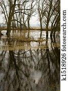 flood flood