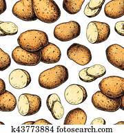 Potato vector seamless pattern. Hand drawn food background. Drawing Potato vector seamless pattern. Hand drawn food background. Drawing