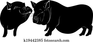 schwein schwein