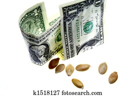 Seed Money Seed Money
