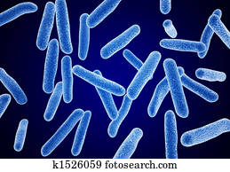 bacteria macro bacteria macro