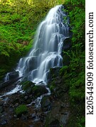 cachoeira, em, floresta