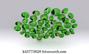 Chlorella Chlorella