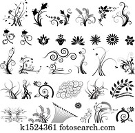 Floral vector elements Floral vector elements