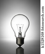 light bulb light bulb