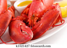 Lobster Lobster