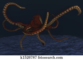 Octopus Octopus