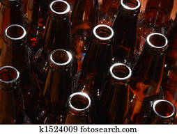Recycling Beer Bottles