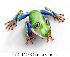 3D rendering of a realistic red-eyed tree frog. 3D rendering of a realistic red-eyed tree frog.