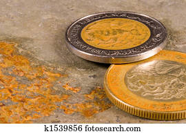 Financial Coins