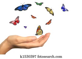 Womans Hand Releasing Beautiful Butterflies Womans Hand Releasing Beautiful Butterflies