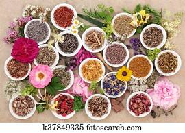 דשא, ו, פרחים, ל, להרפא