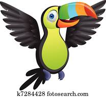 Toucan bird Toucan bird