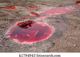 דיזל, זיהום