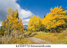 Autumn Fall Colors Autumn Fall Colors