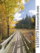 Autumn Fall Colors Autumn Fall Colors