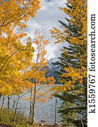 Autumn Fall Colors Autumn Fall Colors
