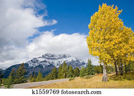 Autumn Fall Colors Autumn Fall Colors