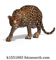 Big Cat Leopard Big Cat Leopard