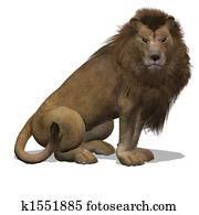 Big Cat Lion Male Big Cat Lion Male