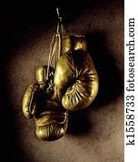 Boxing gloves Boxing gloves